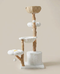 Arbre à Chat Design avec Panier Osier et Griffoir Sisal